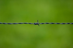 barbed-wire-250822_640(1)